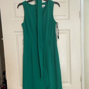 Calvin Klein Green Jumpsuit with Belt